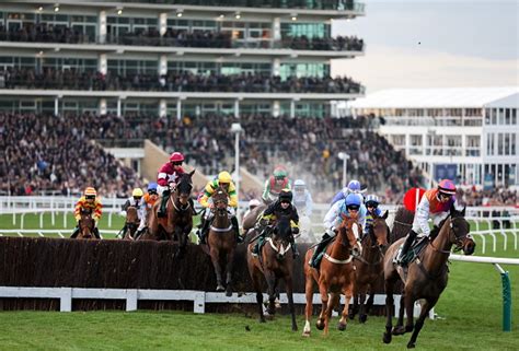 cheltenham racing betting|cheltenham race odds today.